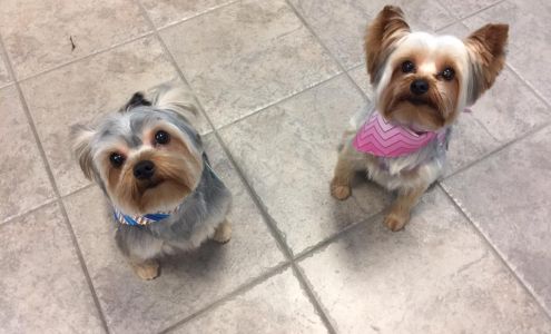 Golden Cuts Grooming Inc