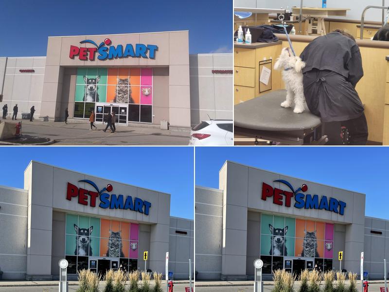 PetSmart