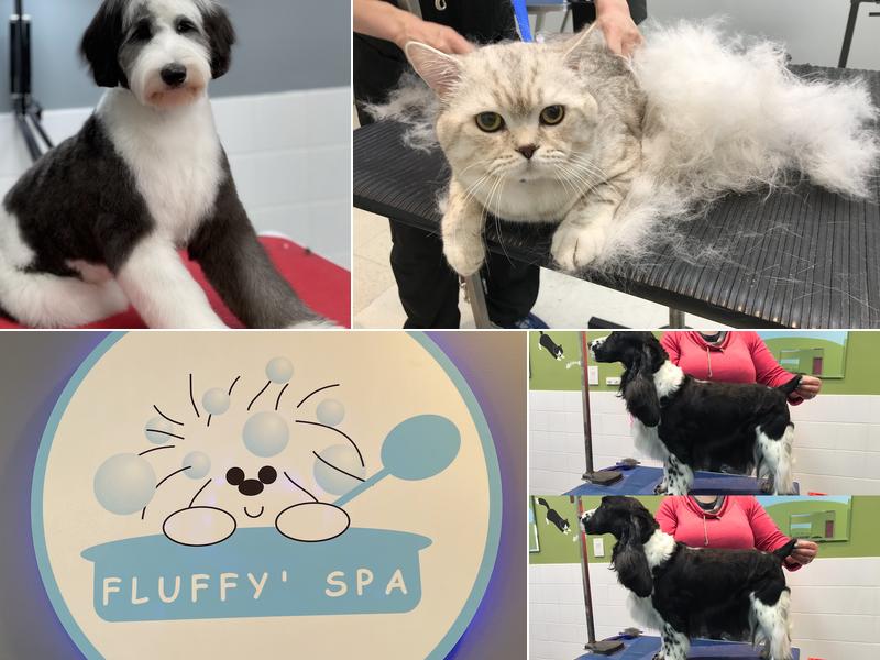 Fluffy' Spa( Richmond Hill)
