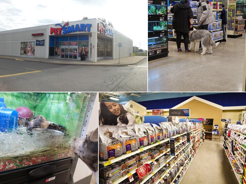 PetSmart