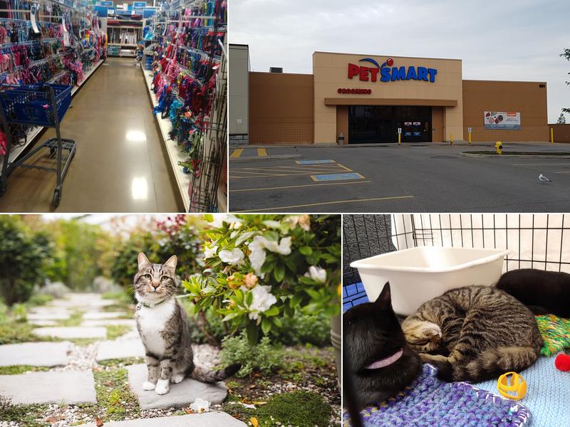PetSmart