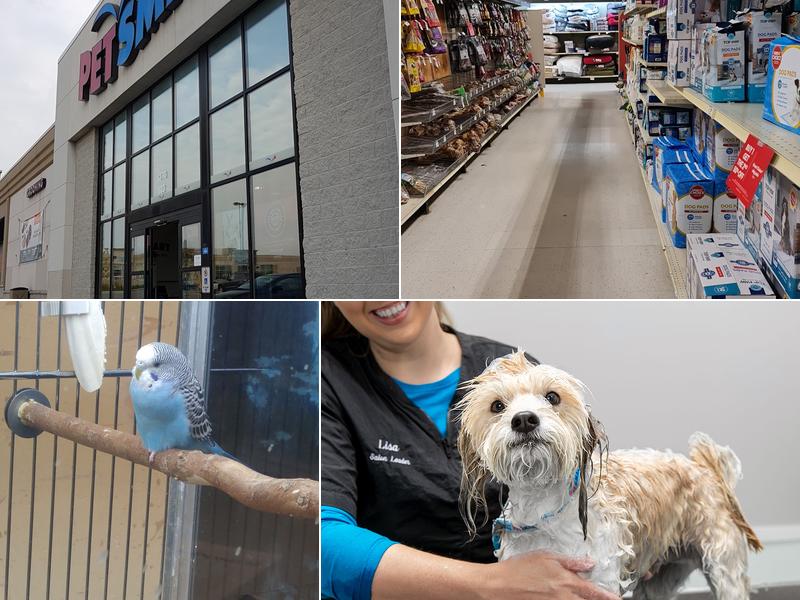 PetSmart