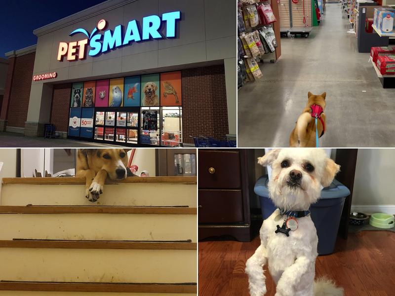 PetSmart