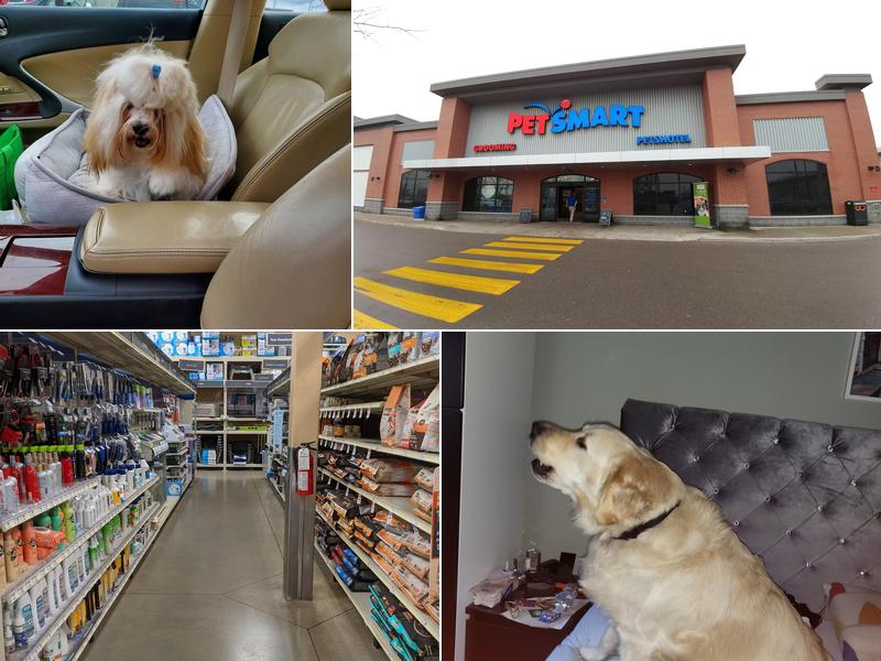 PetSmart