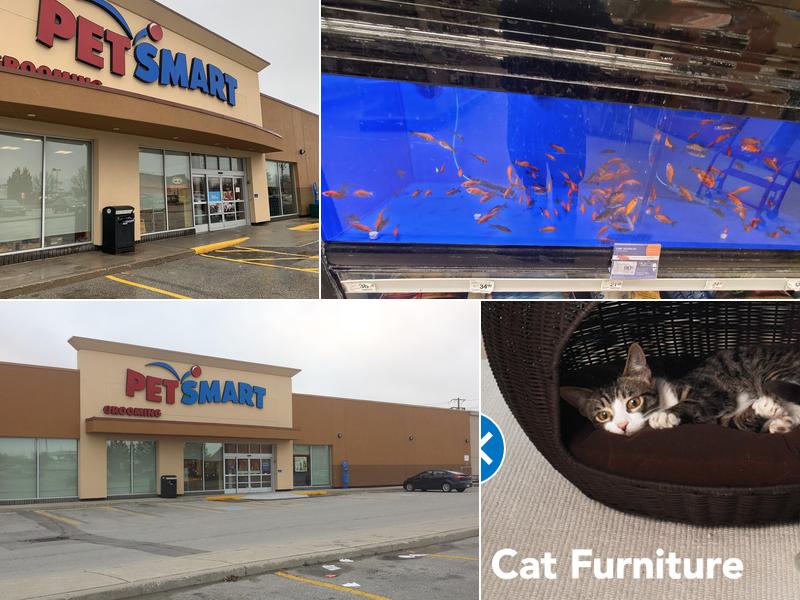 PetSmart