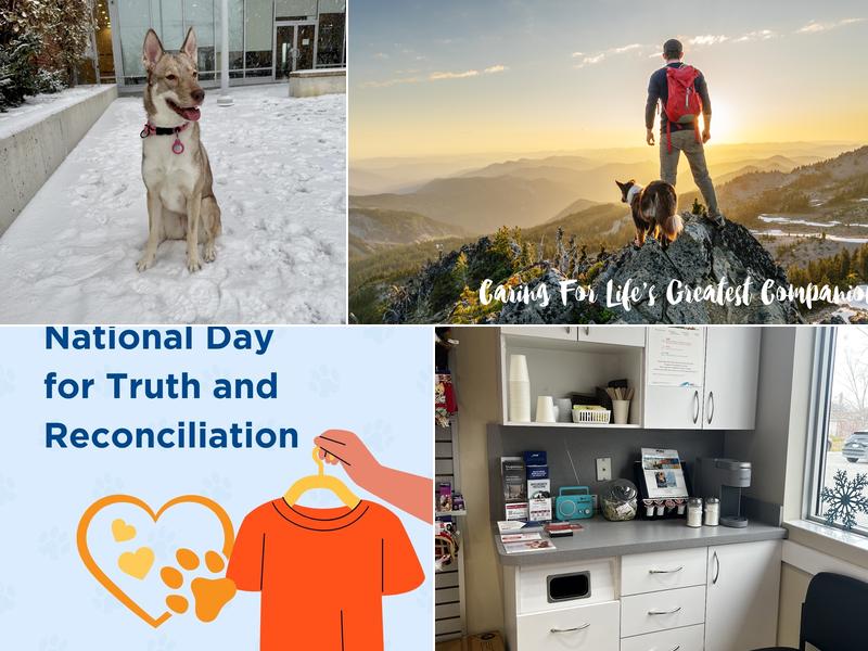 VCA Canada Birchmount Animal Hospital