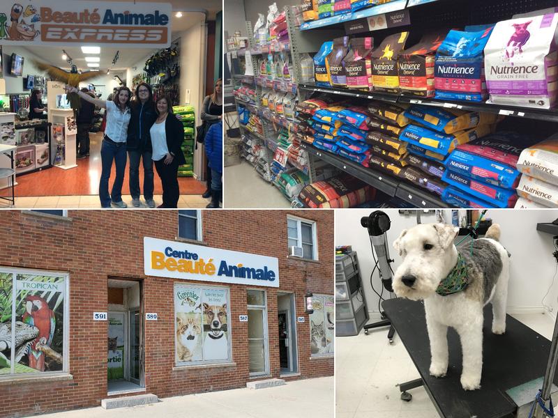 Centre De La Beauté Animale