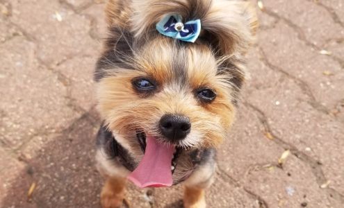 Peticoat Junction & Barkery