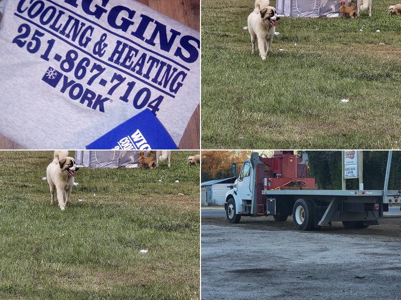 Wiggins Cooling & Heating LLC