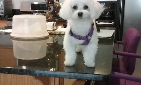 Prescott Valley Heating and Cooling LLC