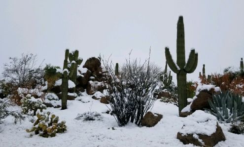 Goetz Home Service, Inc.