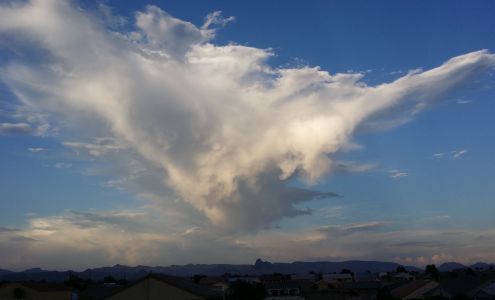 Argo Service Contractors