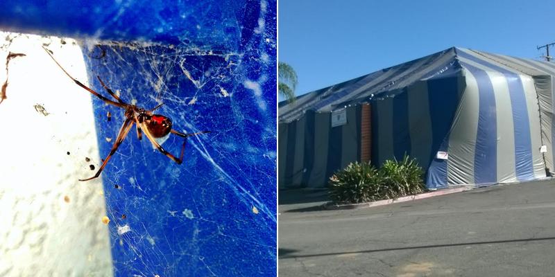 Already A Better Choice Termite & Pest Control, Inc.