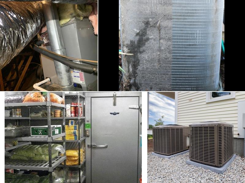 Pro Edge Services and Training, Inc.