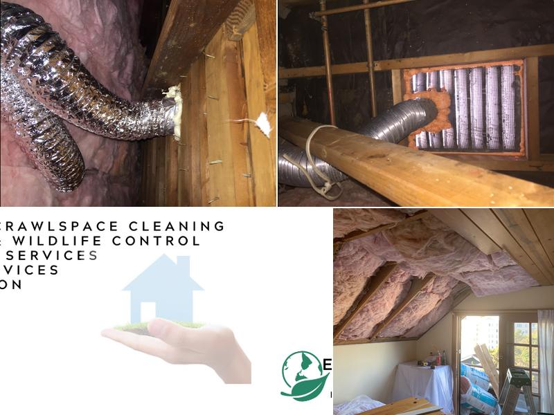 Eco Energy Bay Area: Attic Cleaning & Rodent Proofing