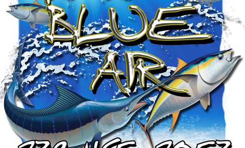 Deep Blue Air Inc.