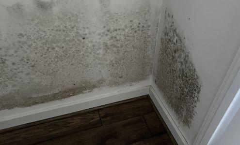 Curley Heating & Air Conditioning