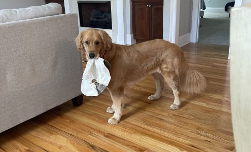 Donny's Heating and Air