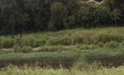 Brannen Construction Co 1311 E 59th St, Savannah Georgia 31404