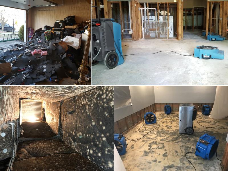 Dynasty Heating & Cooling