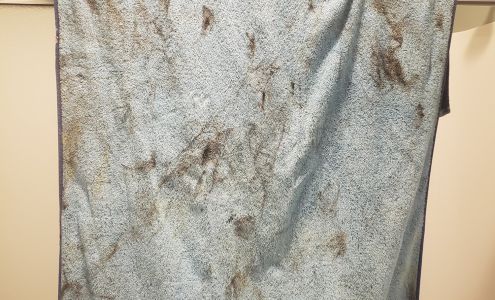 Ames Heating & Cooling Inc