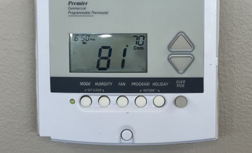 Lynn's Total Comfort