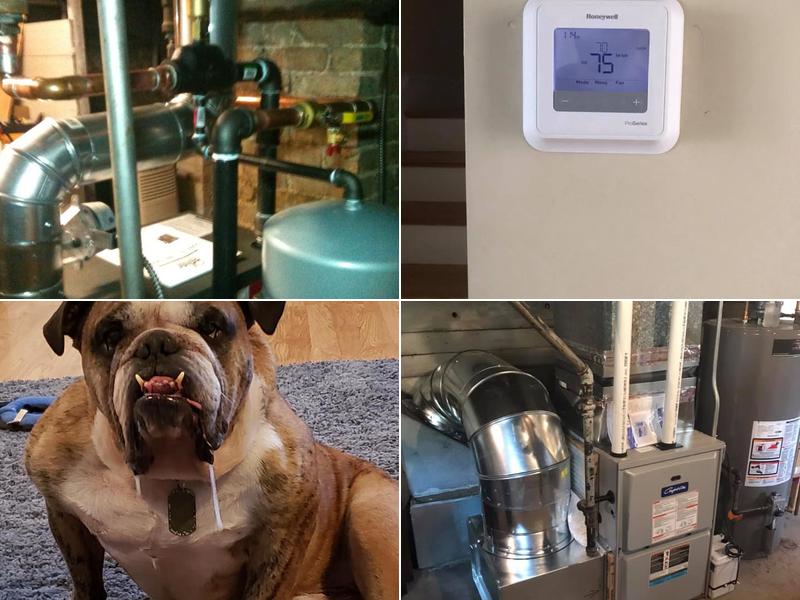 Bulldog Plumbing And Heating
