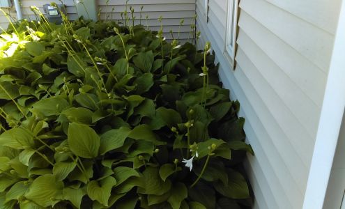 A & S & Sons Heating, Inc.