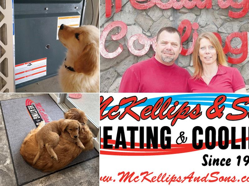 McKellips & Sons Inc