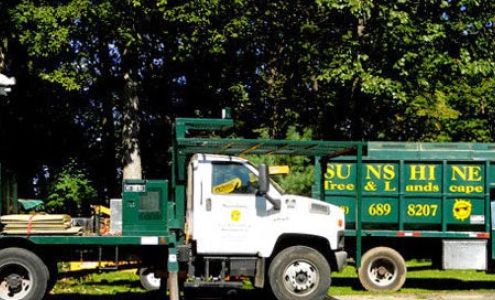 Sunshine Tree & Landscape Stewartsville