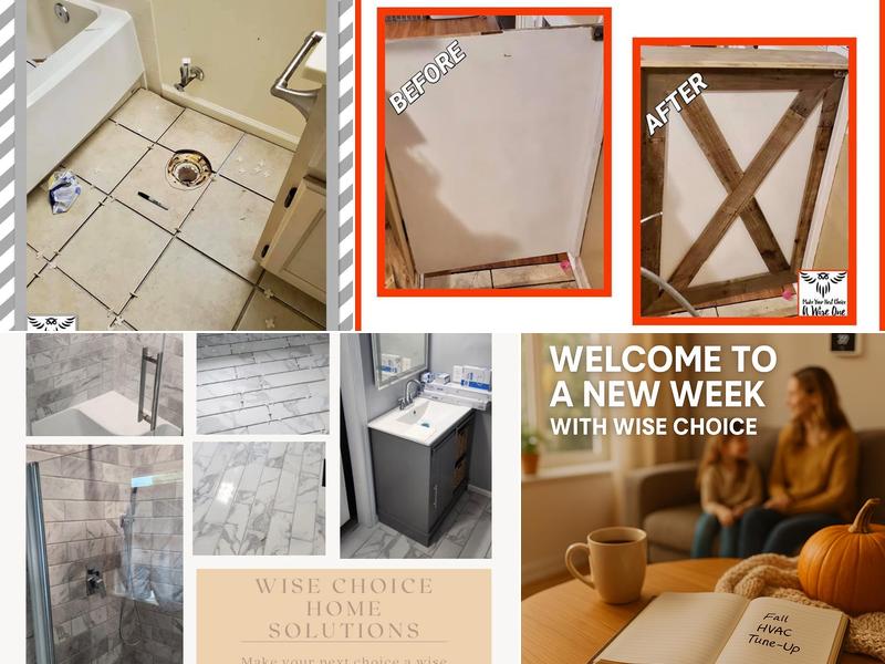 wise choice home solutions