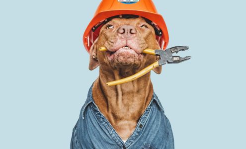 B. Carlson Heating, Air Conditioning & Plumbing