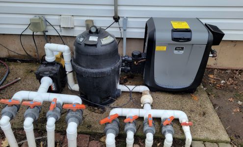 SWIMMIN' WITH THE FISHES