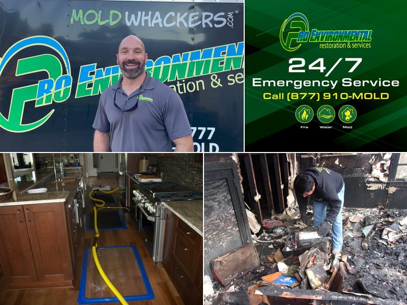 Pro Environmental Restoration and Services LLC