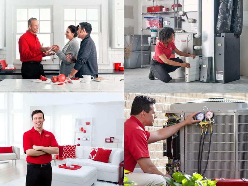 Albert Bachman & Sons