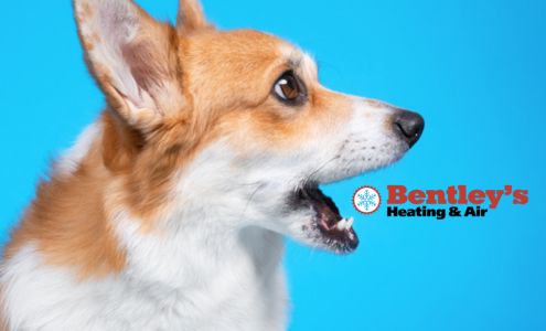 Bentley's Heating & Air