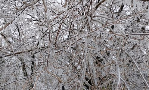 Young Bucks Heating and Air LLC