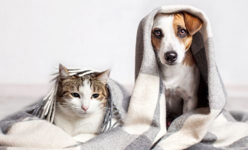 Keller Services Heating and Air Conditioning