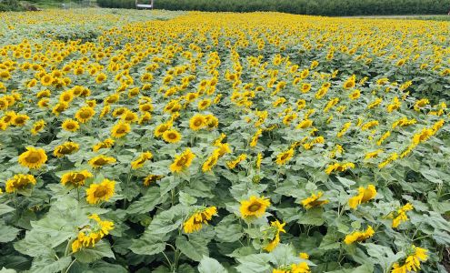 G & F Air Condition & Heat