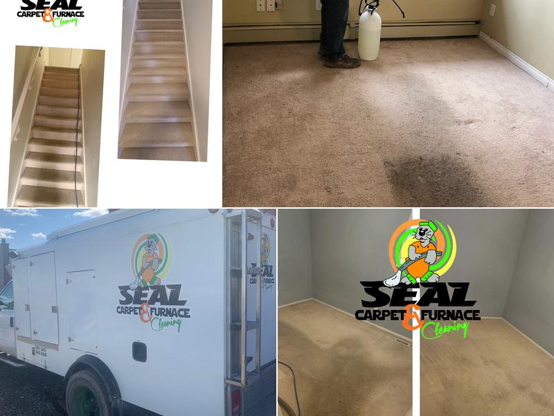 Seal Carpet and Furnace Cleaning