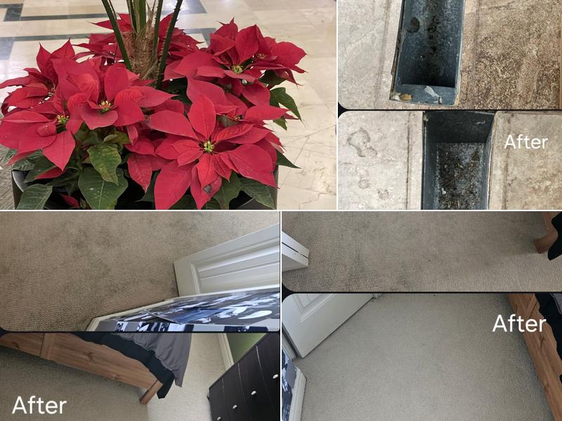 R & K Carpet Cleaners