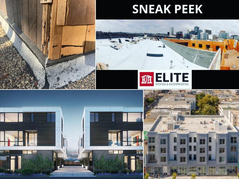 Elite Roofing & Waterproofing