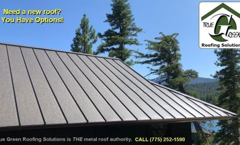 True Green Roofing Solutions