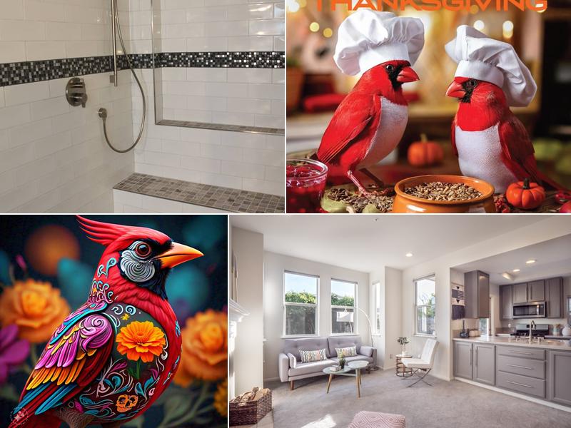 Cardinal Construction