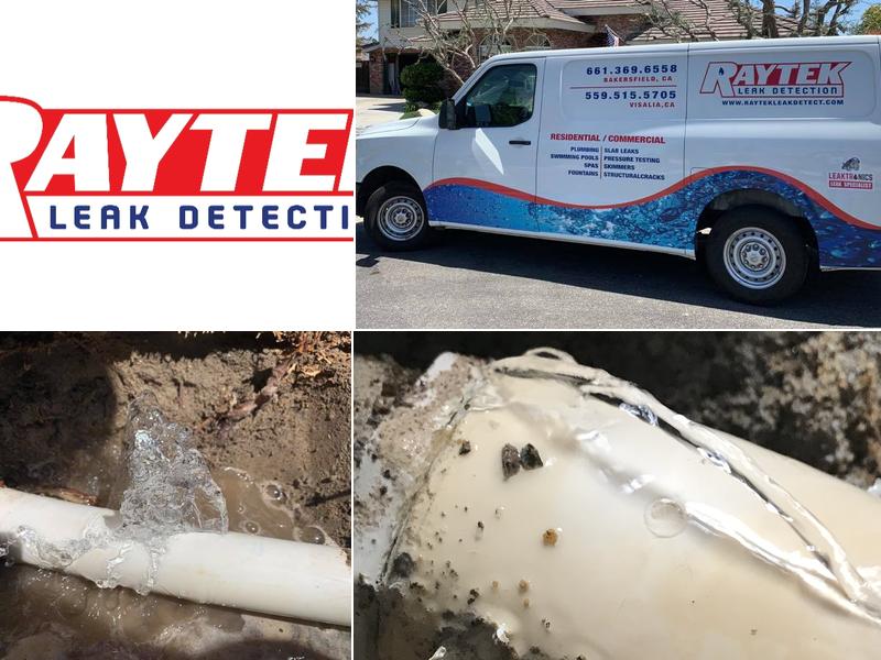 Raytek Leak Detection & Repair