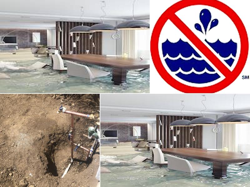 American Leak Detection - Veteran Owned