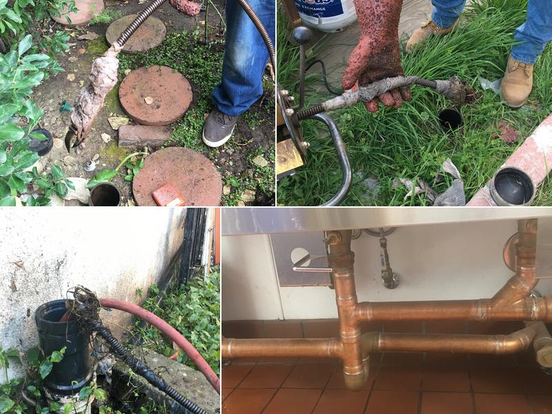 Ervin's Plumbing and Rooter