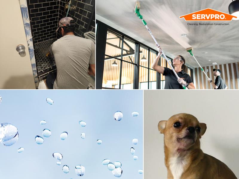 Roto-Rooter Sewer & Drain Cleaning Service