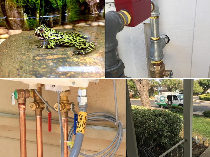 LeapFrog Plumbing, Inc