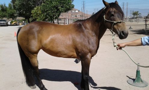 Quality First Plumbing 21797 Vivienda Ave, Grand Terrace California 92313